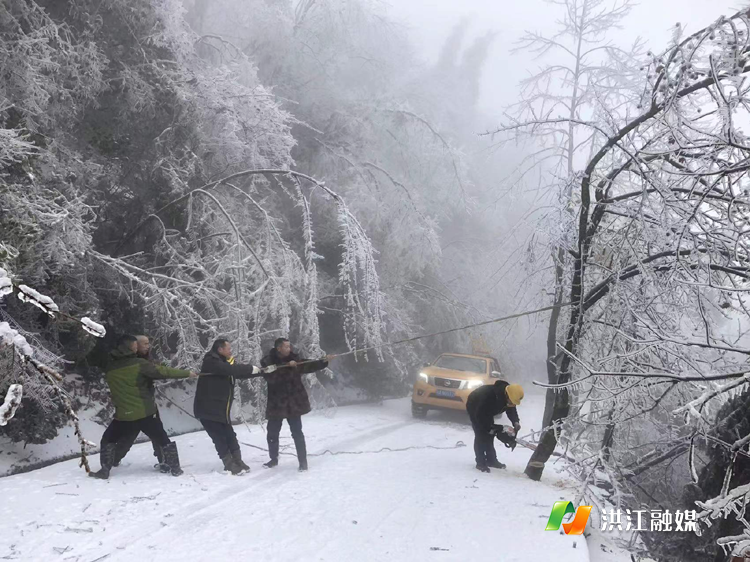 雪峰林场.png